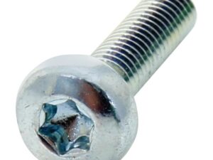 <div class="product-description">PAN HEAD TORX SCREW