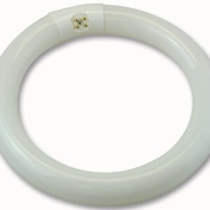 Compact Fluorescent Lamps